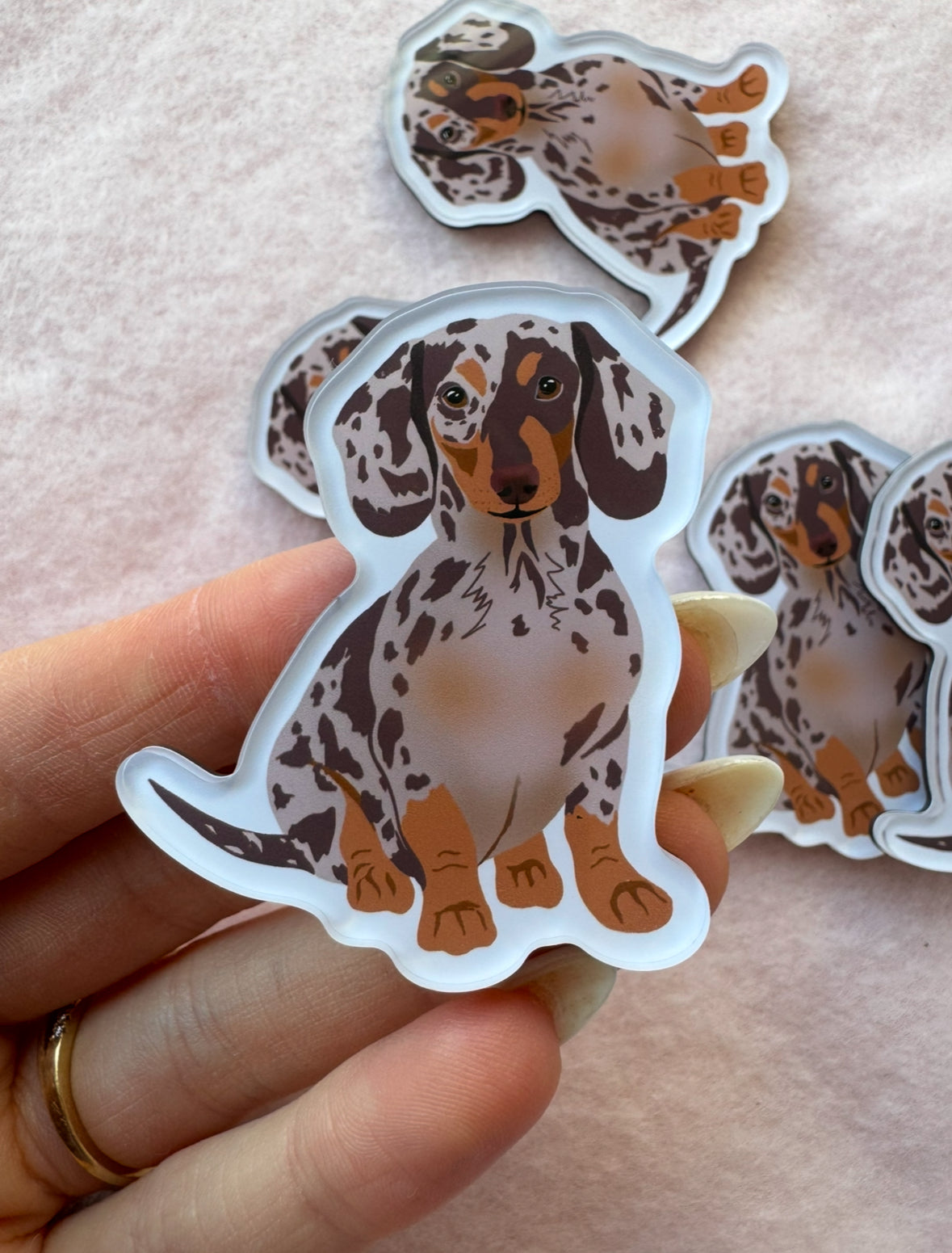 Dachshund (dapple) Magnet