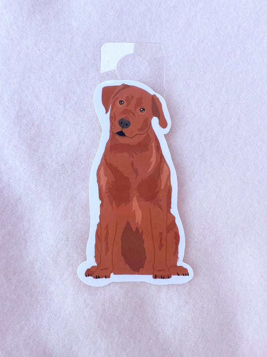 Labrador Retriever (red fox) Sticker