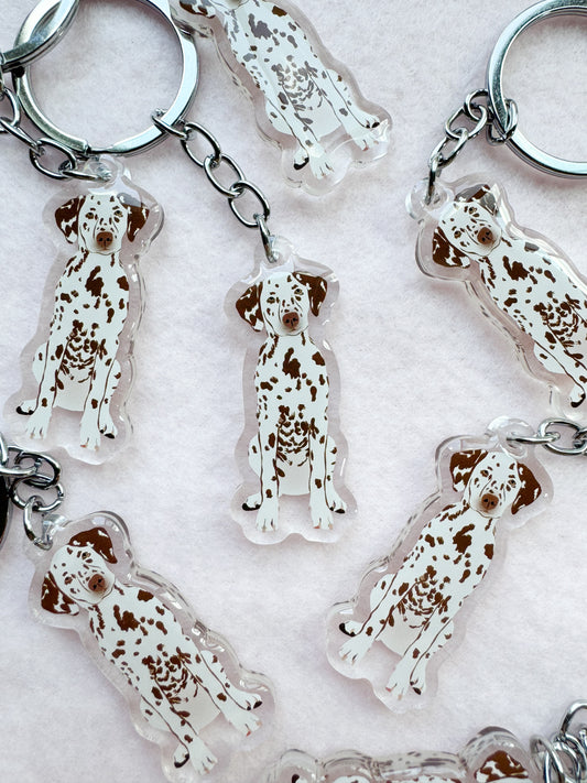 Dalmatian (liver) Keychain