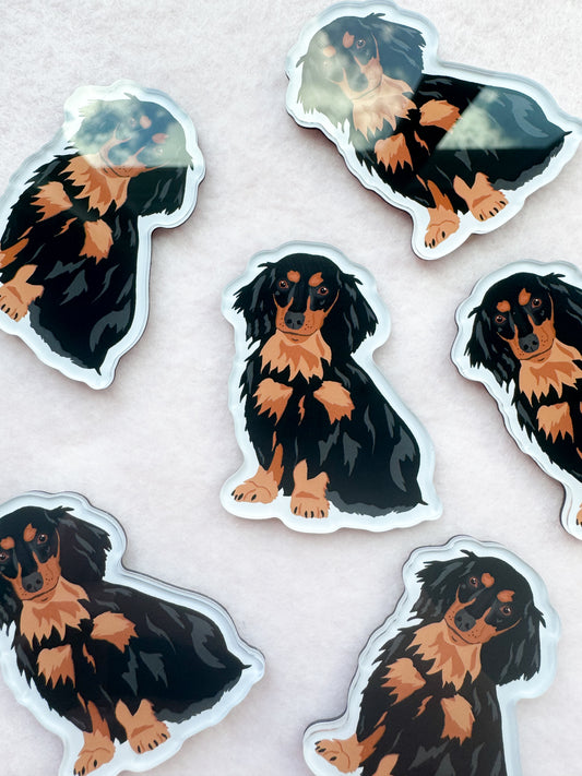 Dachshund (long haired black and brown) Magnet