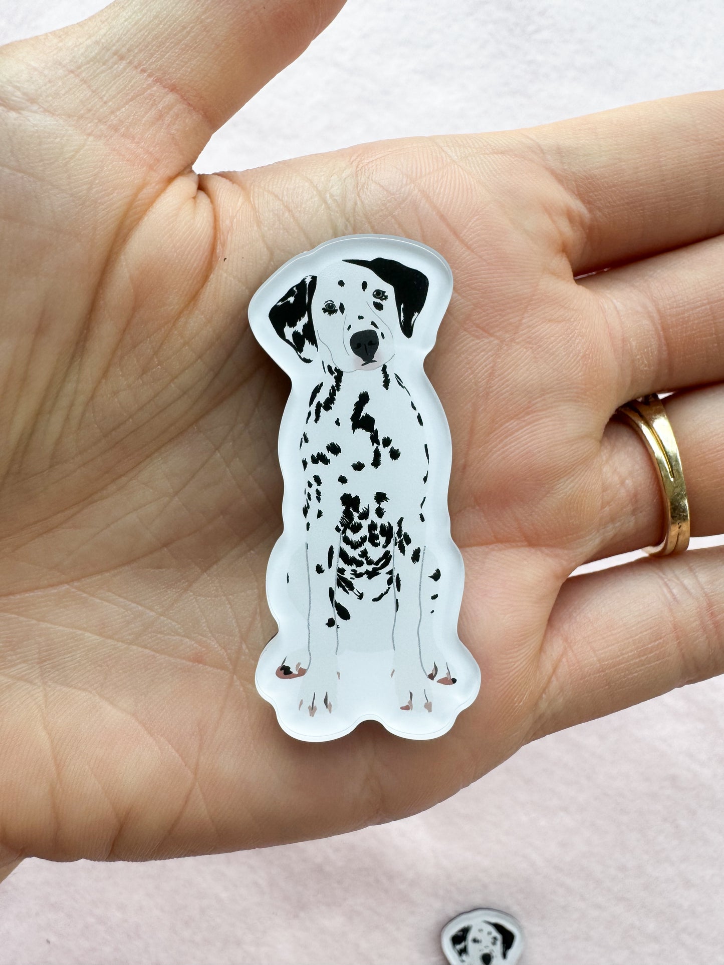 Dalmatian Magnet