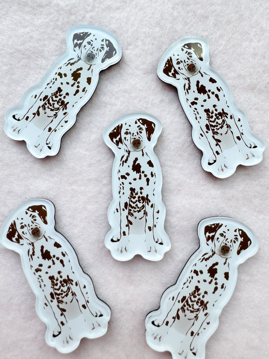 Dalmatian (liver) Magnet