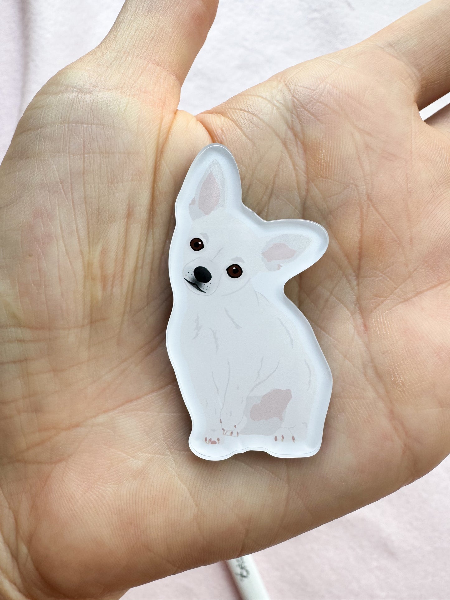 Chihuahua (white) Magnet