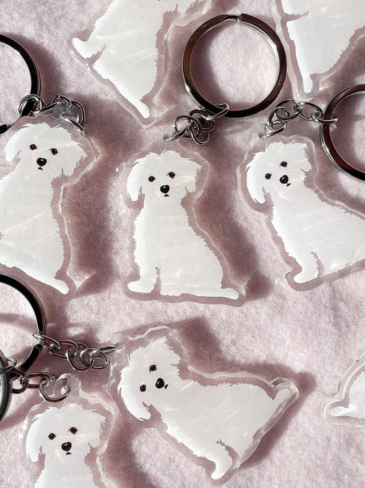 Maltese, Coton de Tulear Keychain