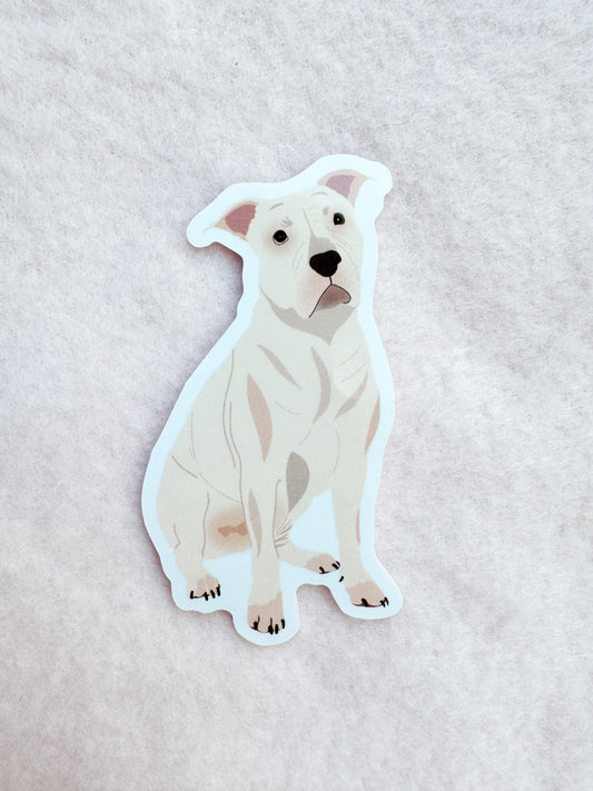 Pit Bull (white), Staffy (white) Sticker