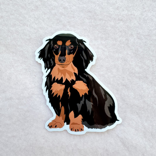 Dachshund (long haired black and brown) Sticker