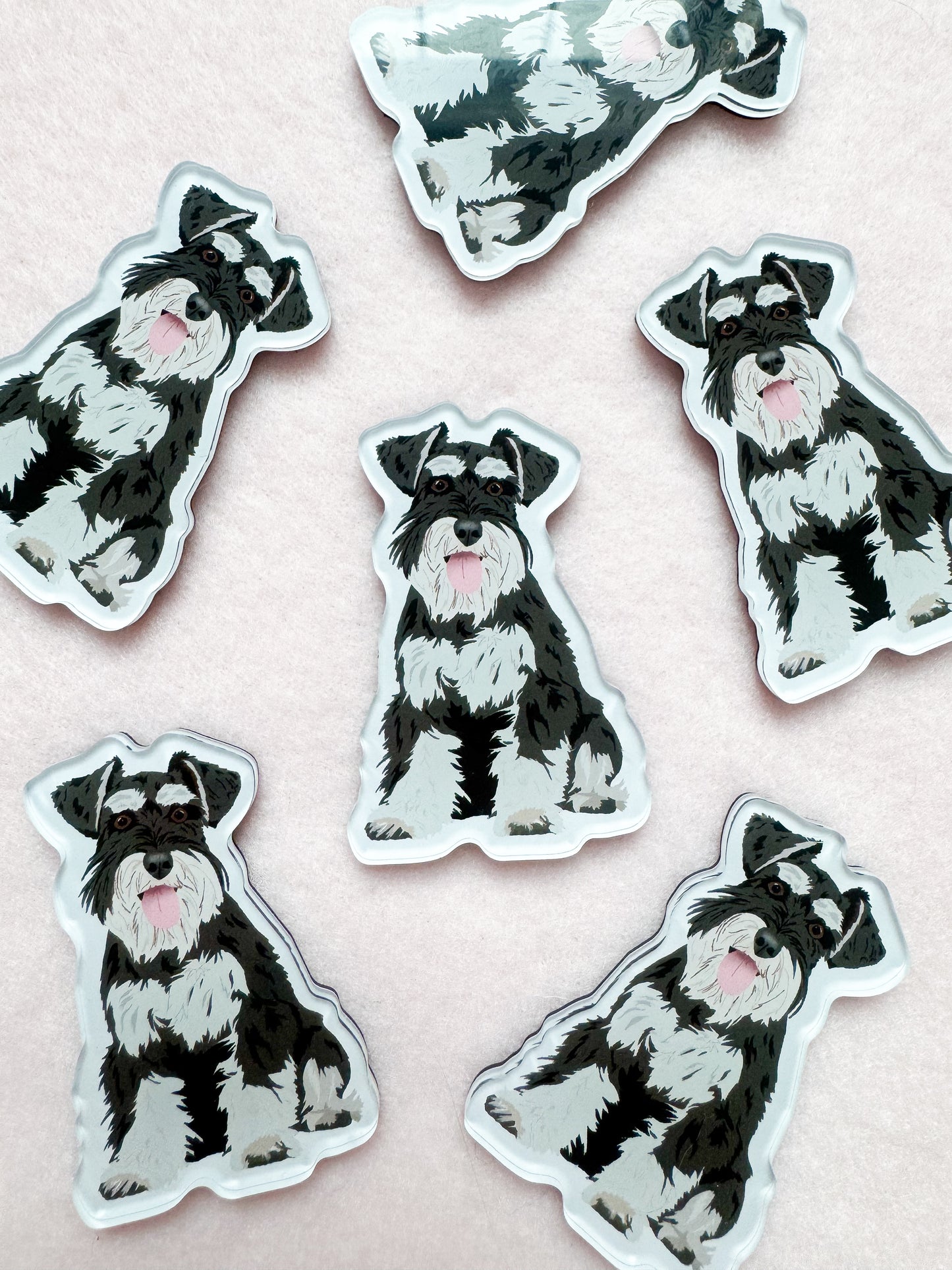 Miniature Schnauzer Magnet