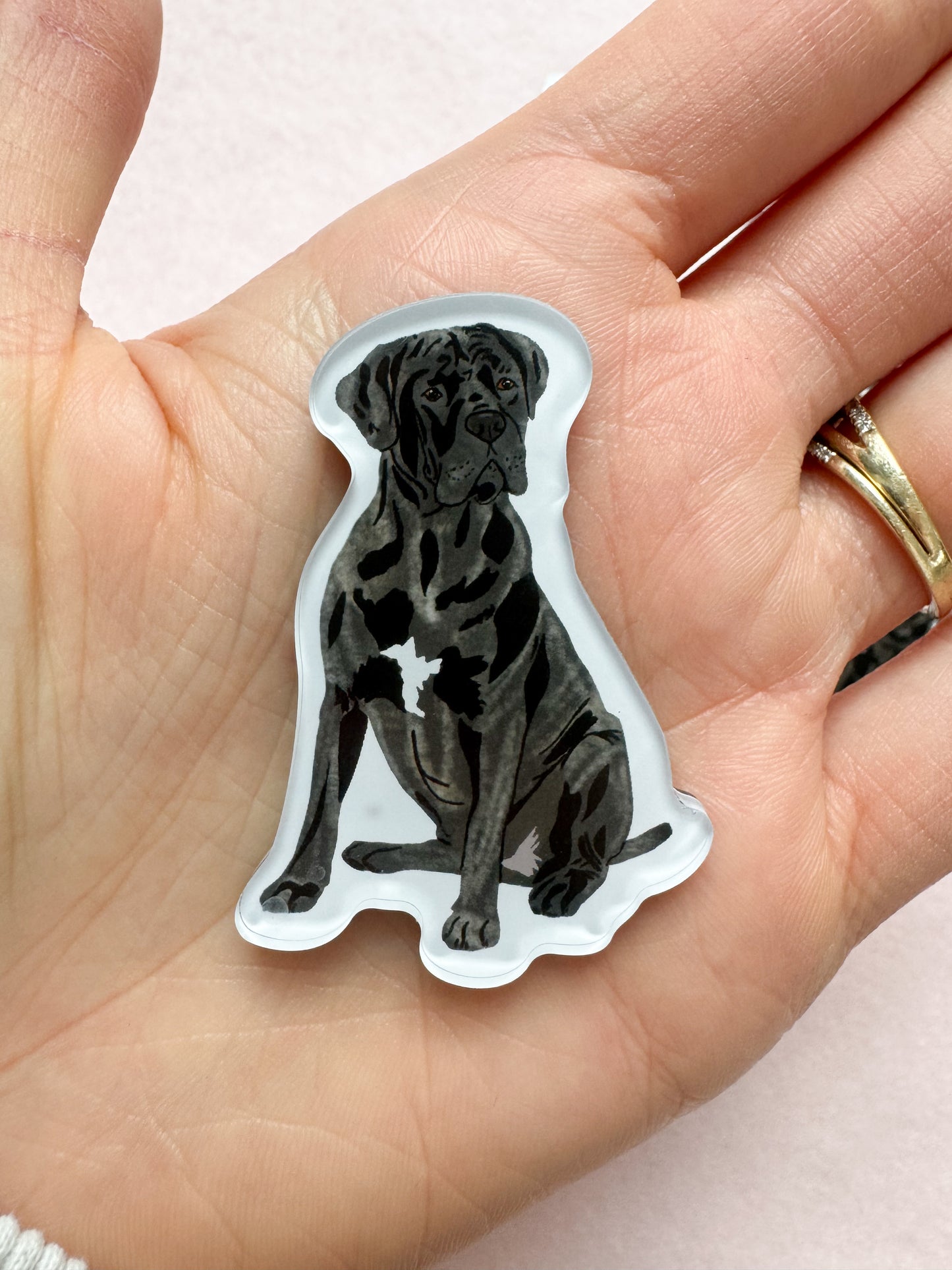 Cane Corso (brindle, natural ears), Italian Mastiff Magnet