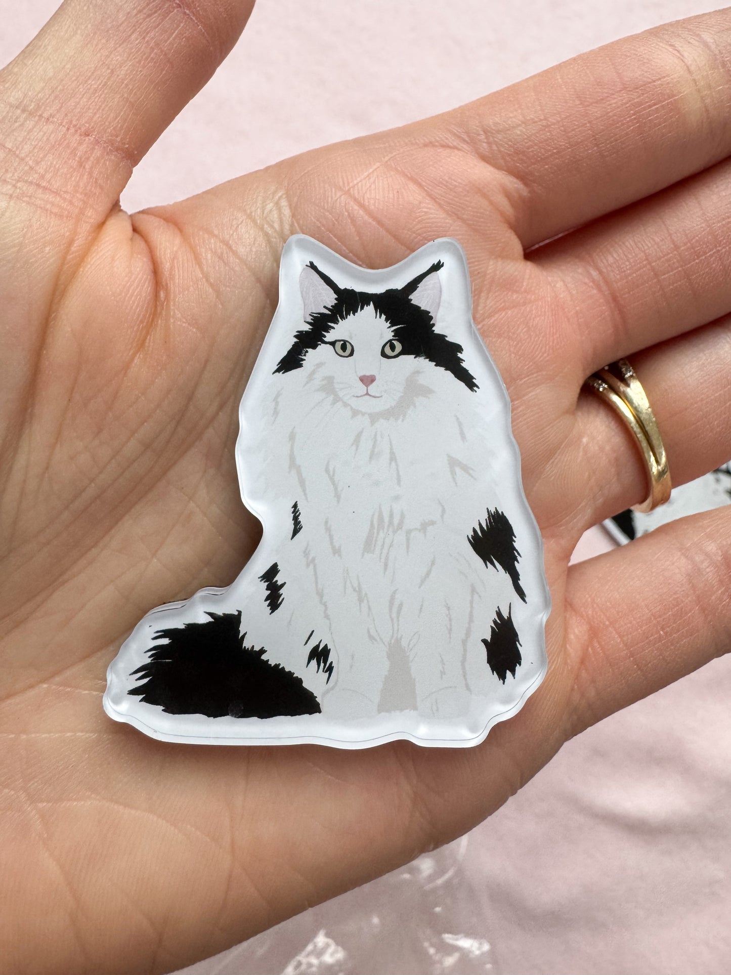 Black and White (long haired) Cat Magnet