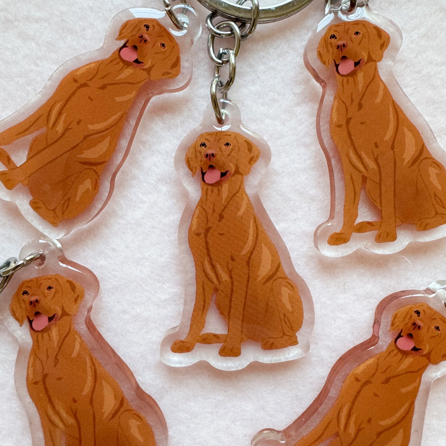 Vizsla, Redbone Coonhound Keychain