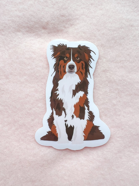 Australian Shepherd (red tri) Sticker