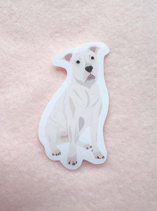 Pit Bull (white), Staffy (white) Sticker