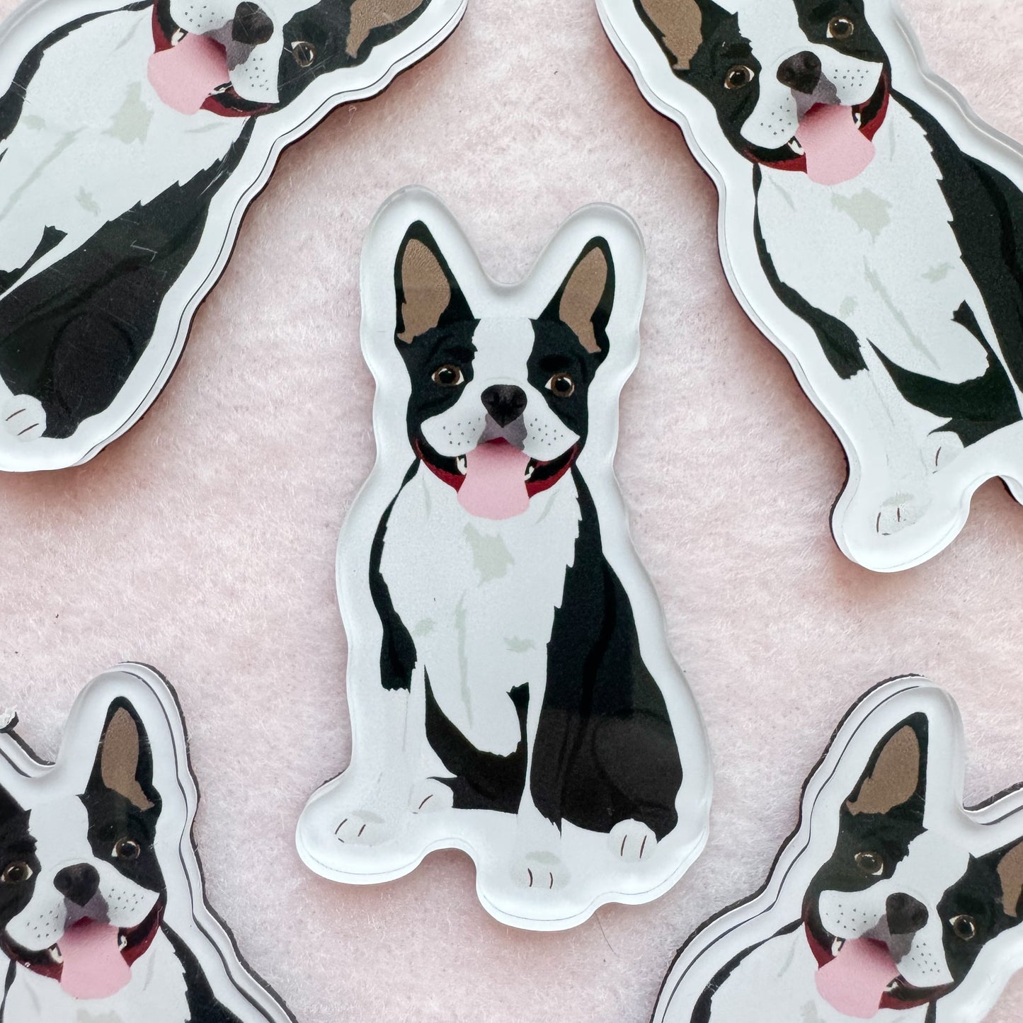 Boston Terrier (black & white) Magnet