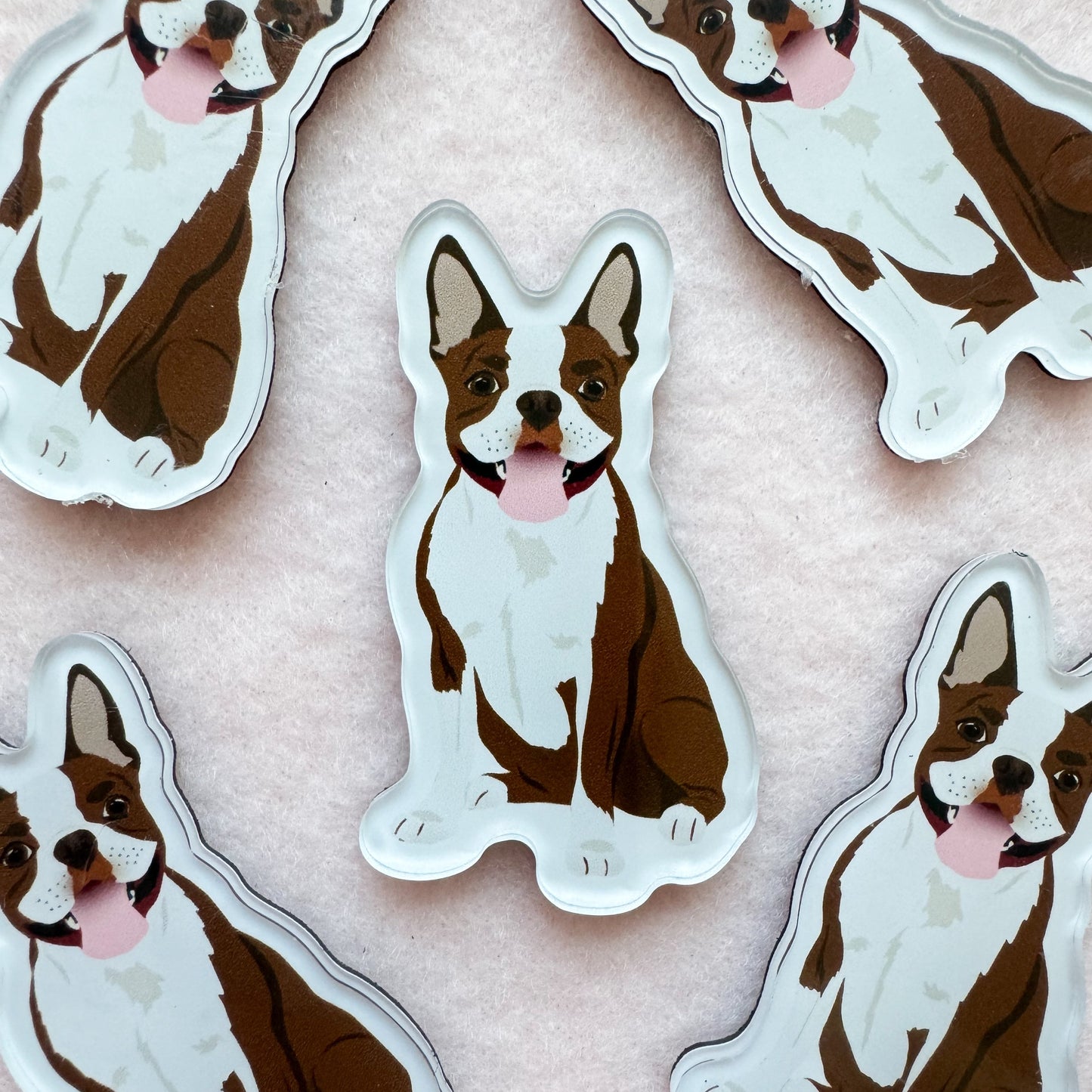 Boston Terrier (brown & white) Magnet