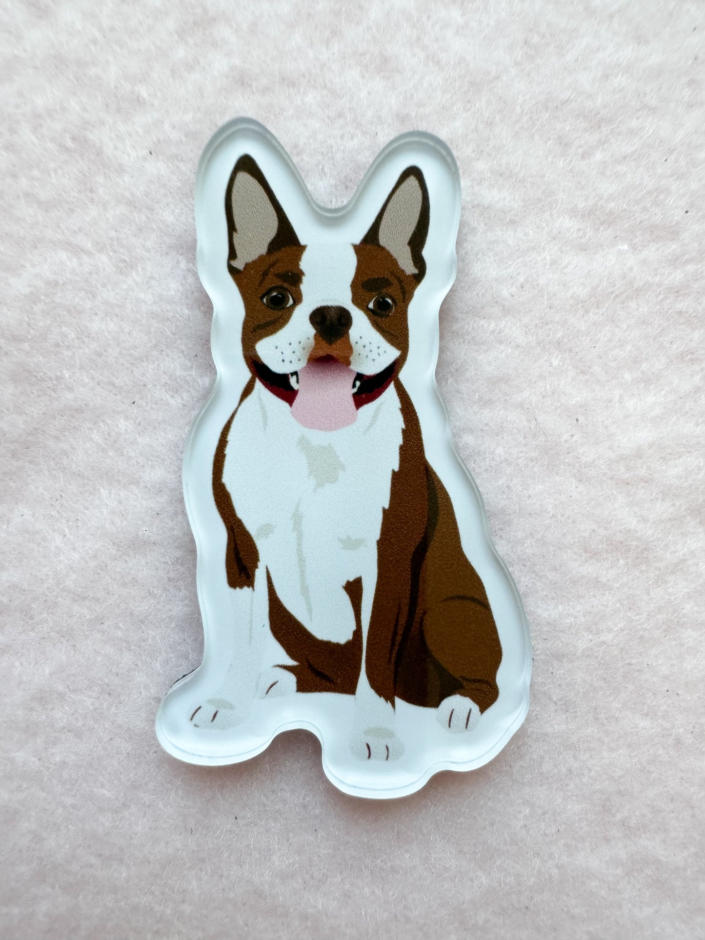 Boston Terrier (brown & white) Magnet