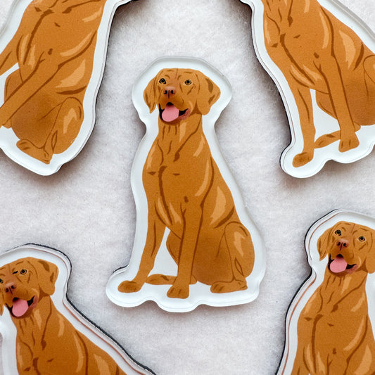 Vizsla Magnet