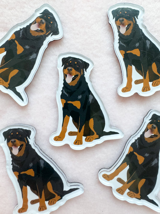 Rottweiler Magnet