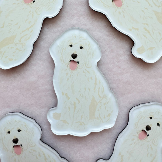 Goldendoodle, Labradoodle (white) Magnet