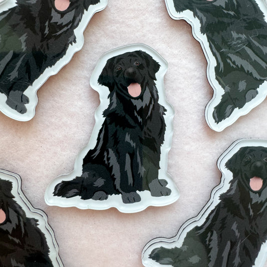 Golden Retriever (black), Flat Coated Retriever Magnet