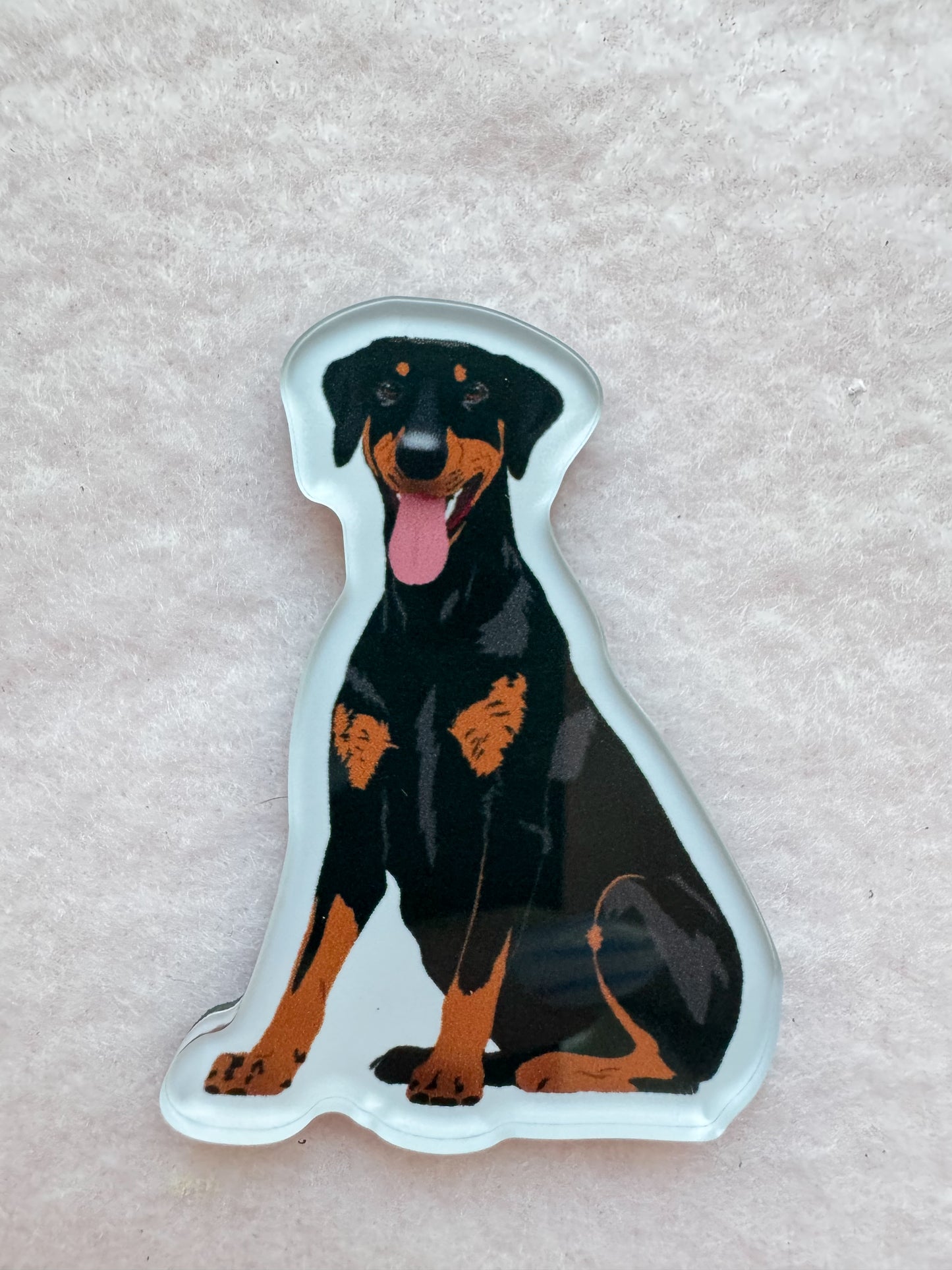 Dobermann (black & rust/natural ears) Magnet