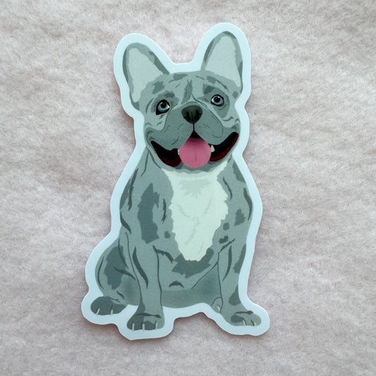 Frenchie (blue merle) Sticker