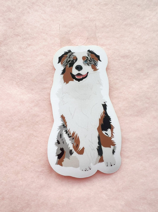 Australian Shepherd (blue merle) Sticker