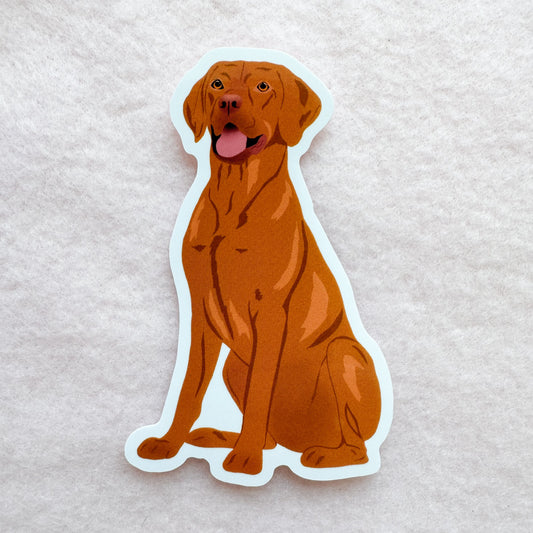 Vizsla, Redbone Coonhound Sticker