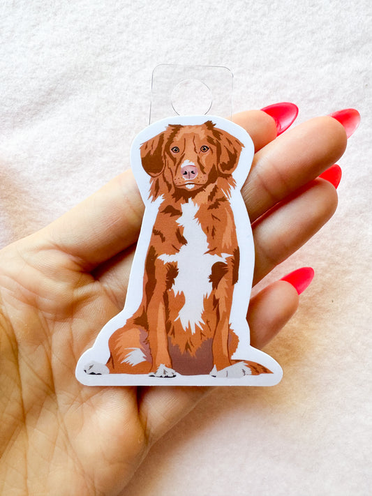 Nova Scotia Duck Tolling Retriever Sticker