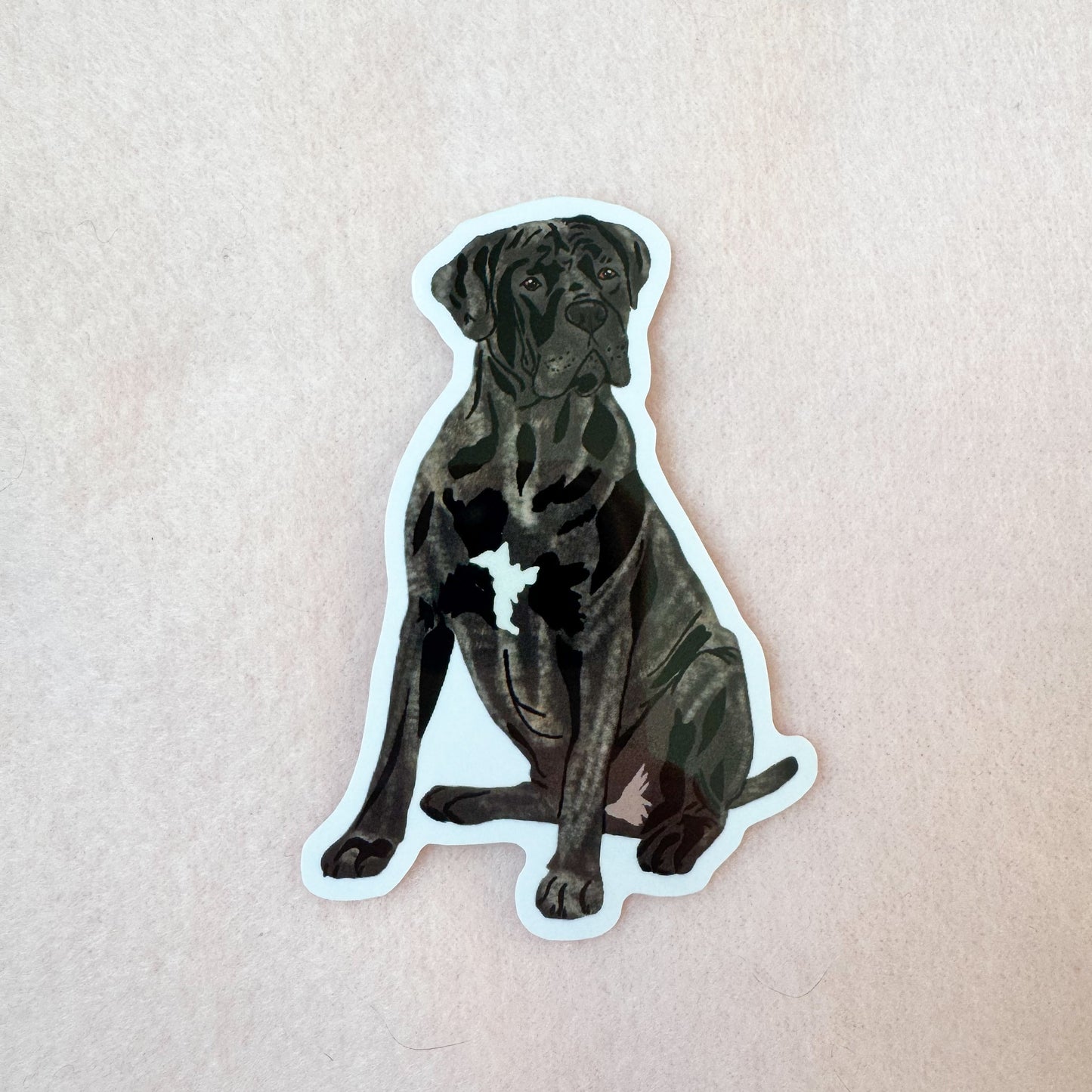 Cane Corso (brindle, natural ears), Italian Mastiff Sticker