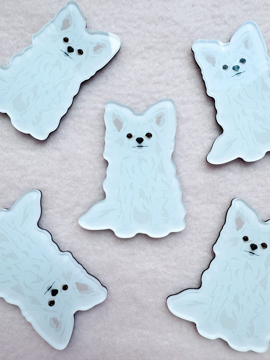 Chihuahua (long haired white) Magnet