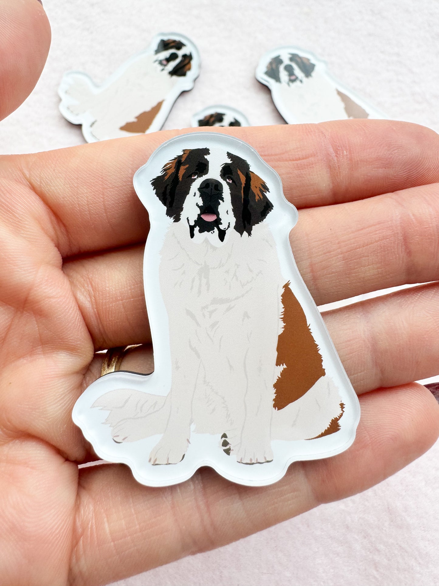 Saint Bernard Magnet