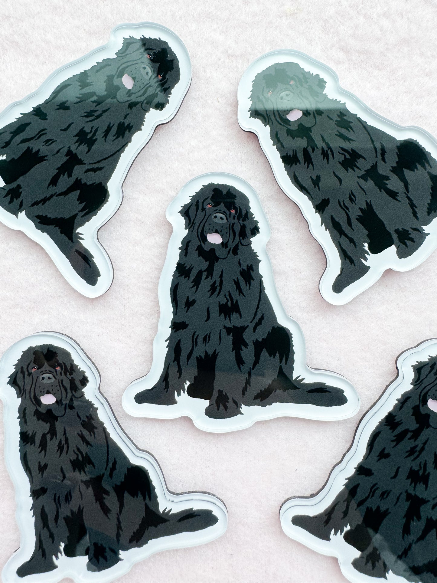 Newfoundland Magnet