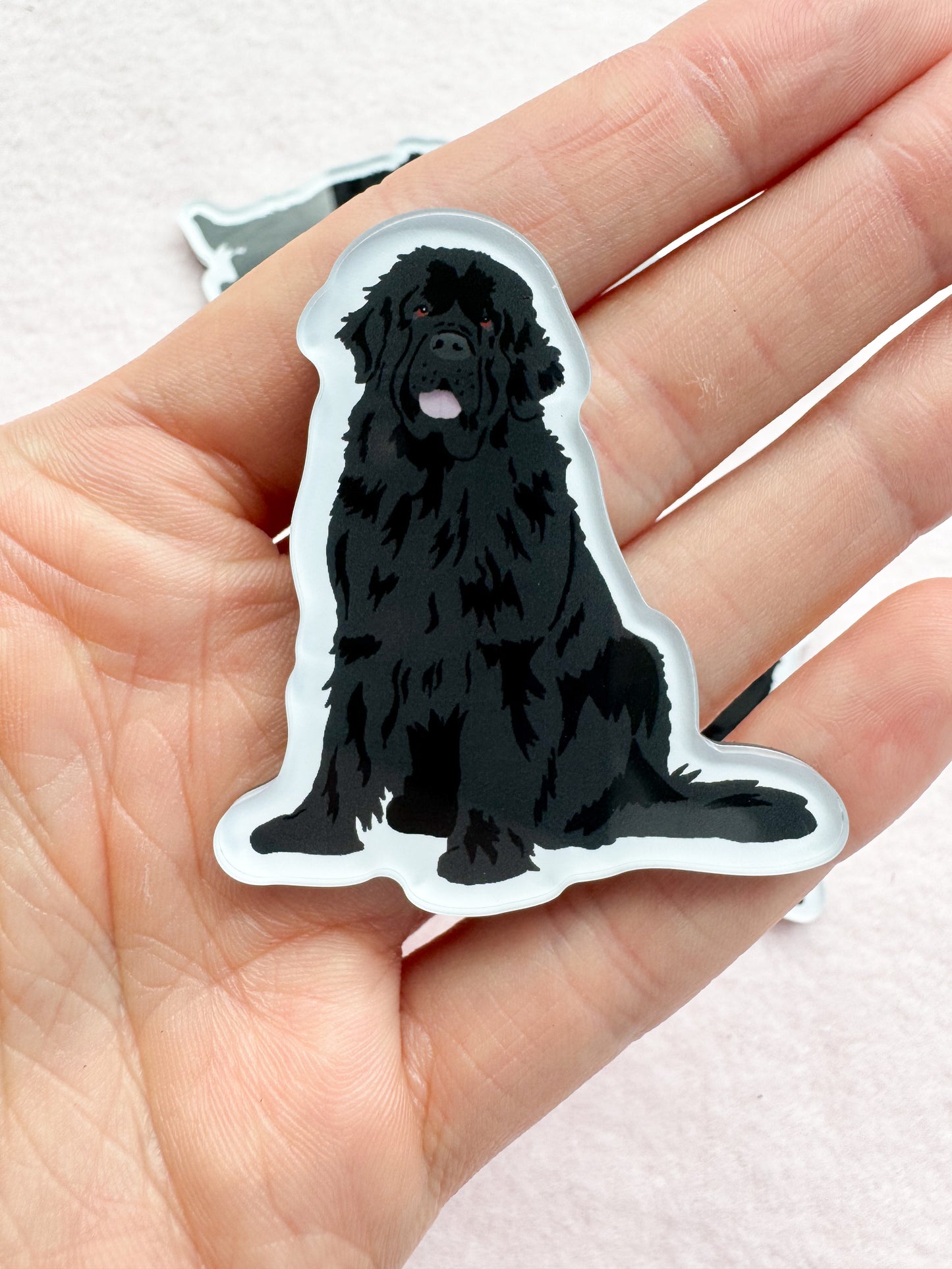 Newfoundland Magnet