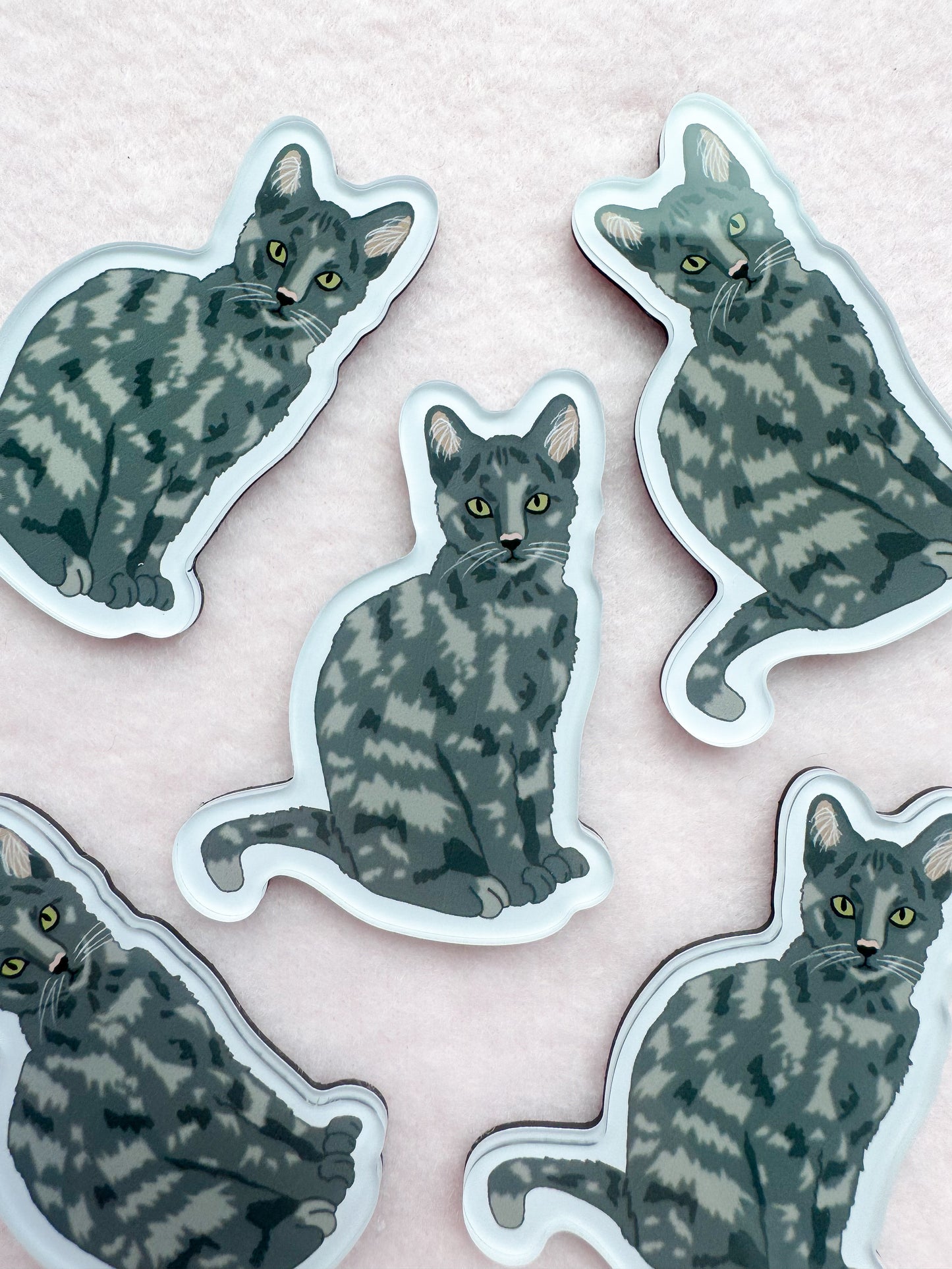Dilute Tortoiseshell Magnet