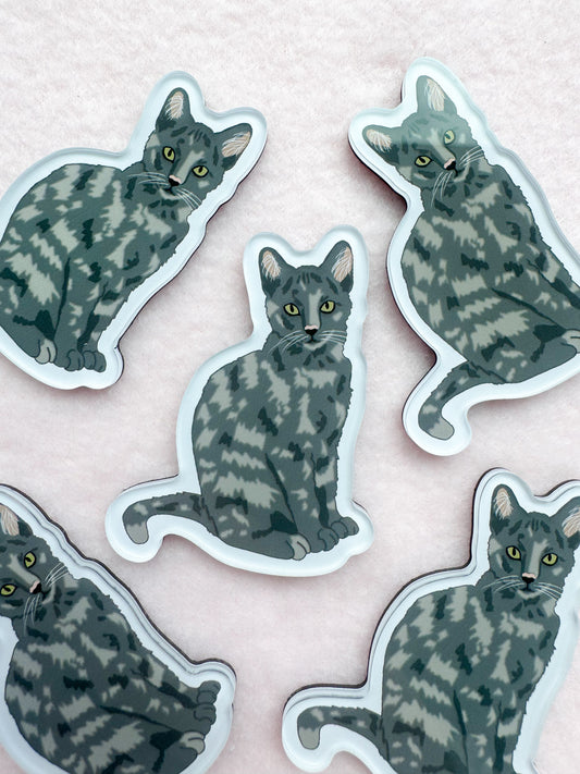 Dilute Tortoiseshell Magnet