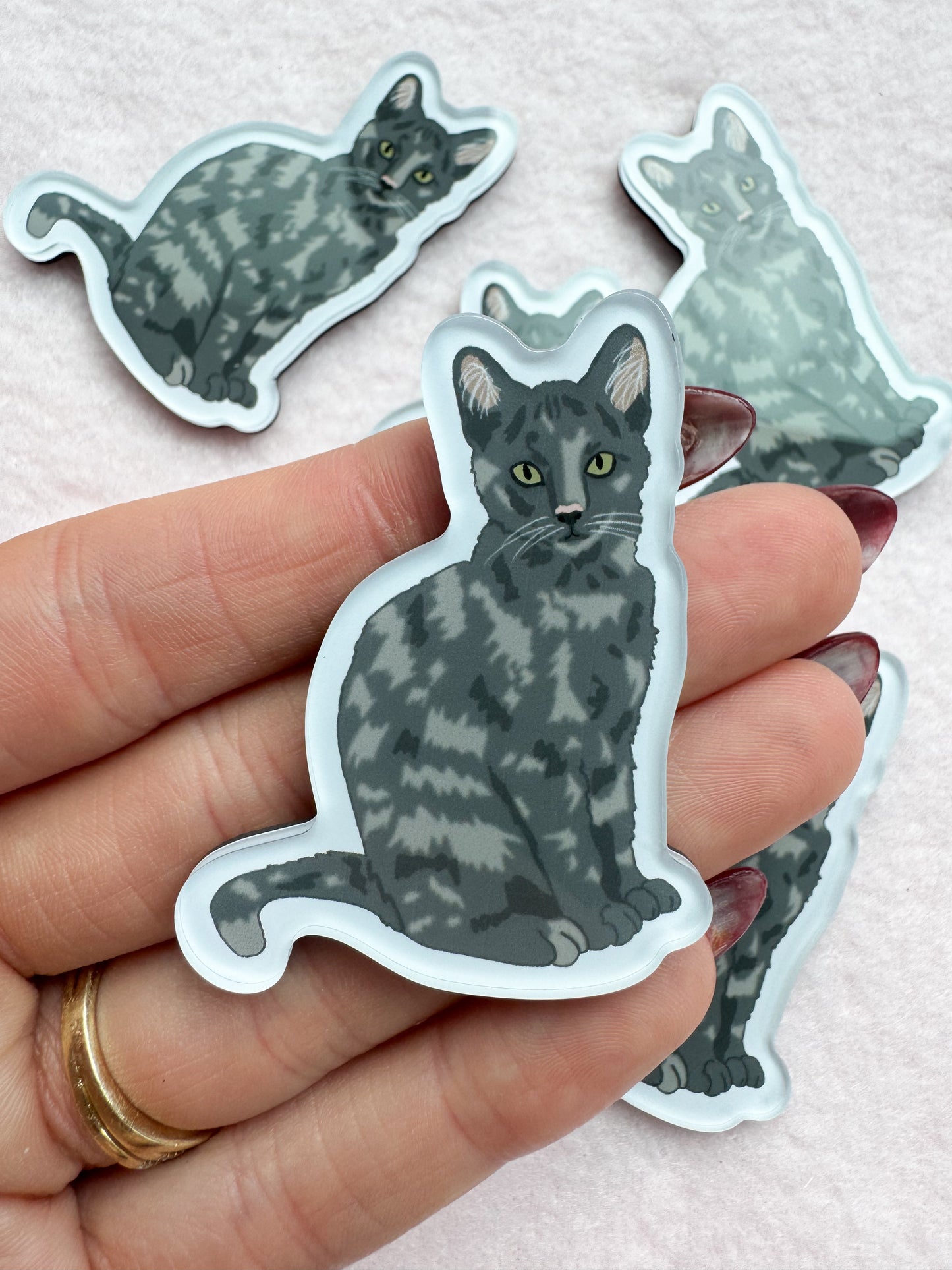 Dilute Tortoiseshell Magnet