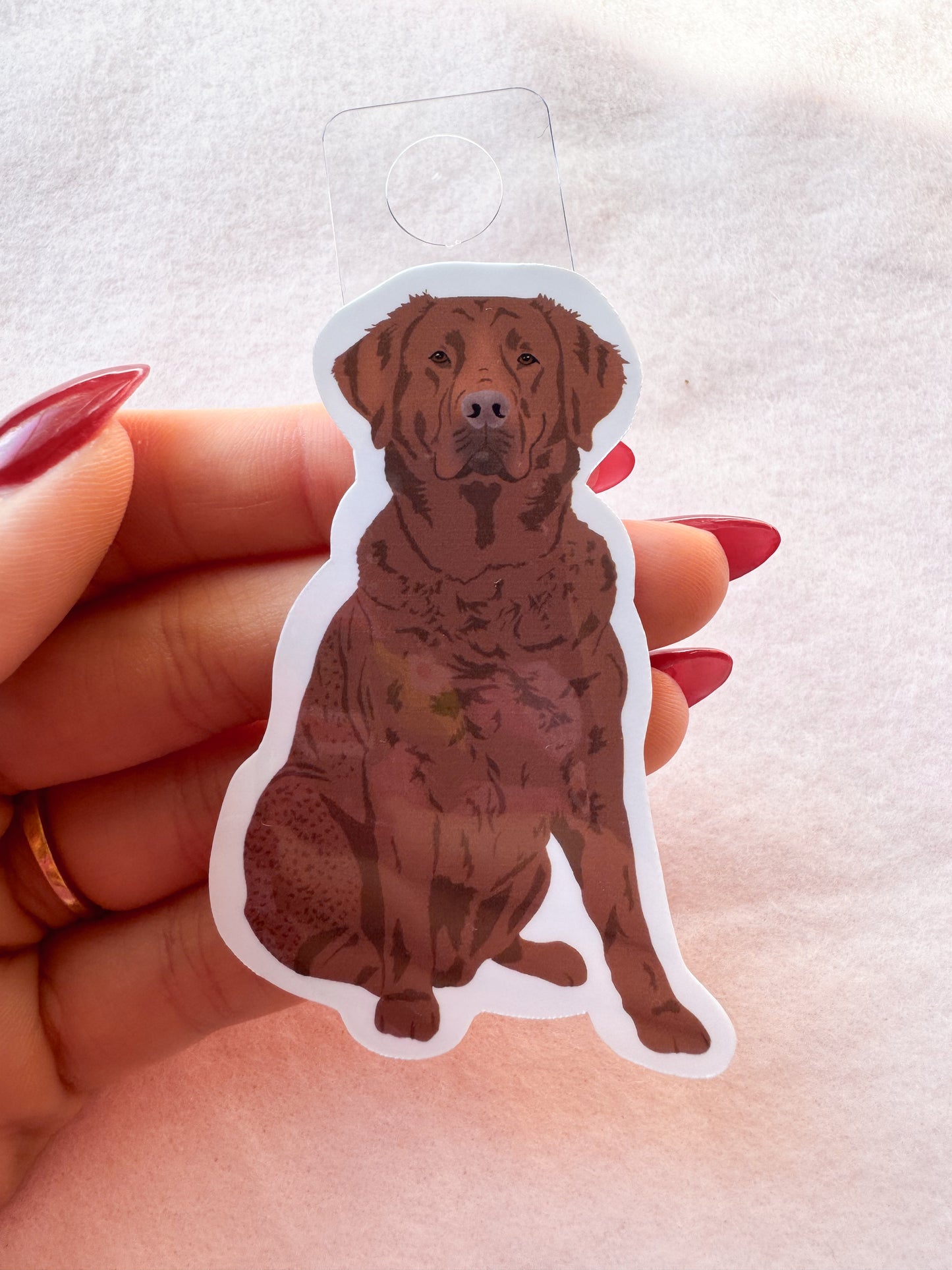 Chesapeake Bay Retriever Sticker