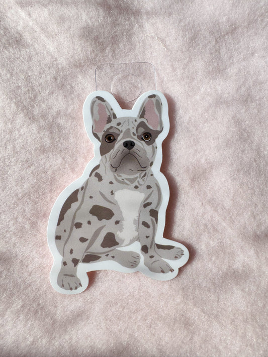 French Bulldog, Frenchie (blue merle) Sticker