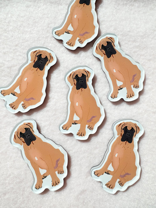 Bullmastiff, Boerboel Magnet
