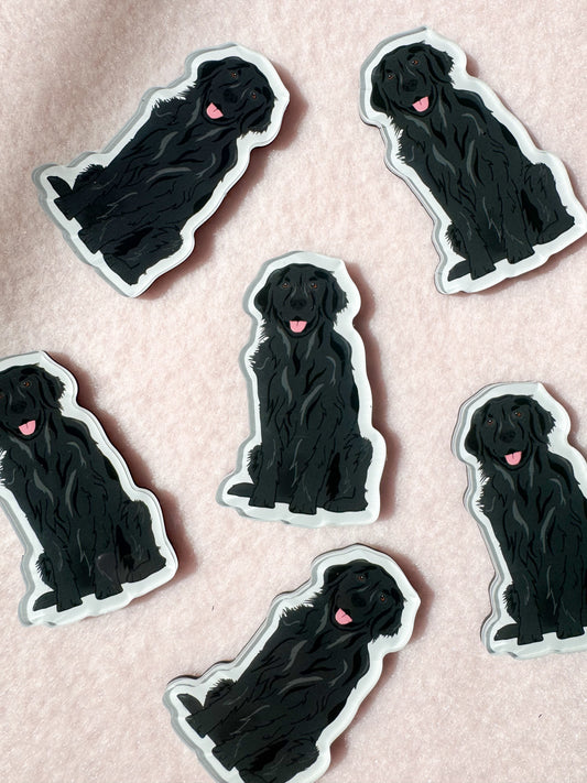 Golden Retriever (black), Flat Coated Retriever Magnet
