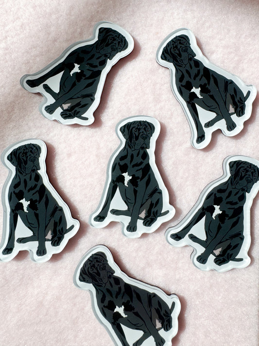 Cane Corso (natural ears) Magnet