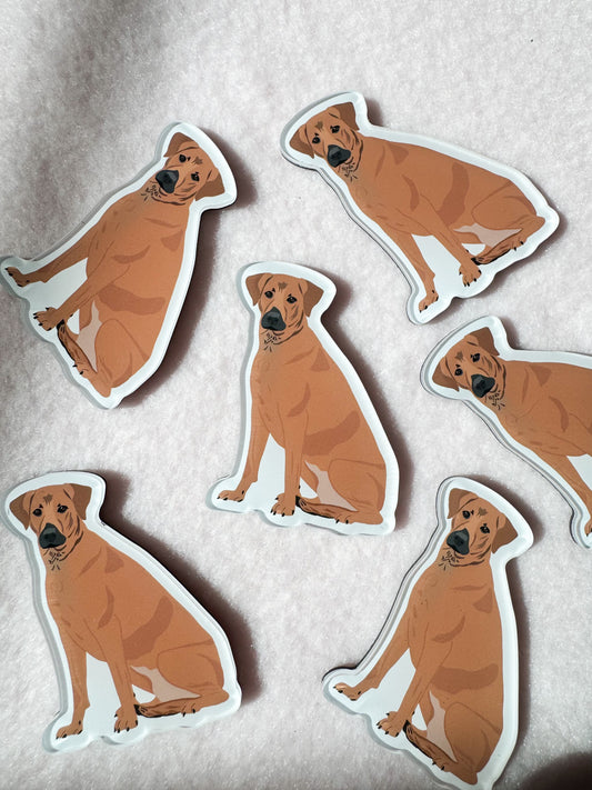 Mountain Cur, Rhodesian Ridgeback Magnet