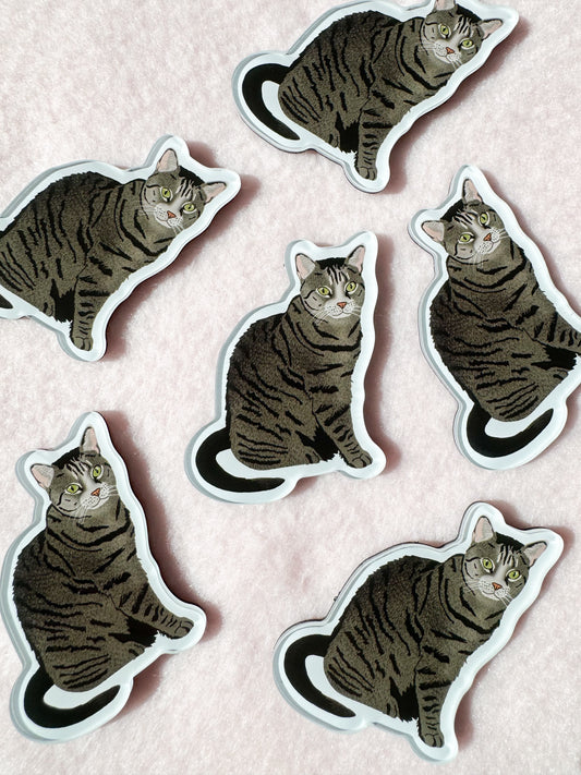 Domestic Shorthair, Tabby (brown) Magnet