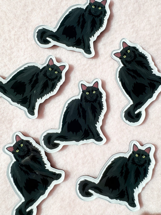 Black Cat (long-haired) Magnet