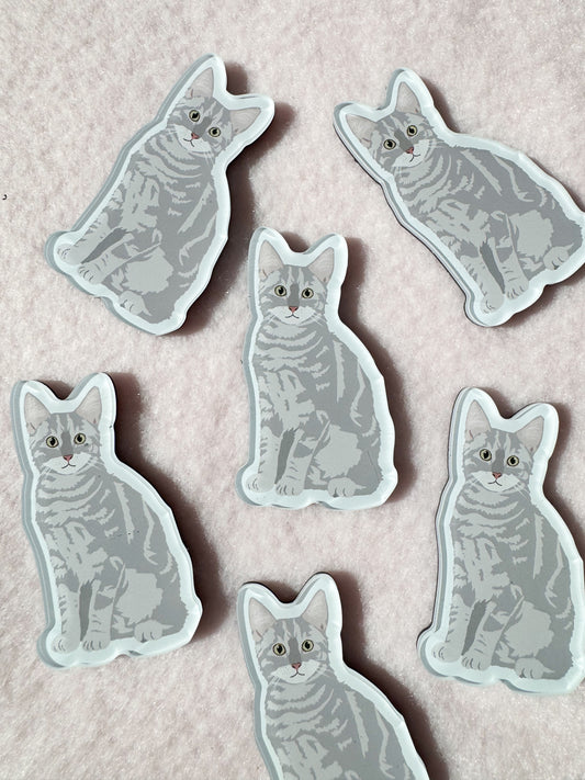 Tabby (gray) Magnet