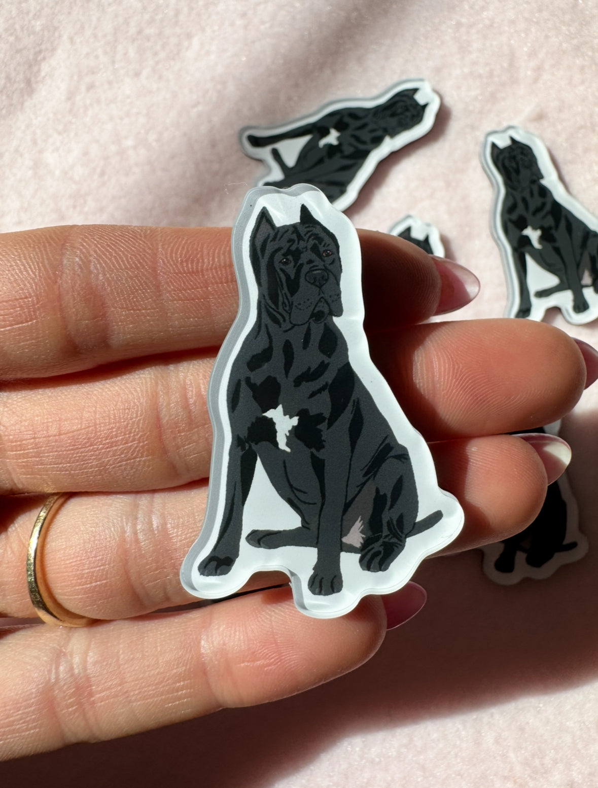 Cane Corso (cropped ears) Magnet