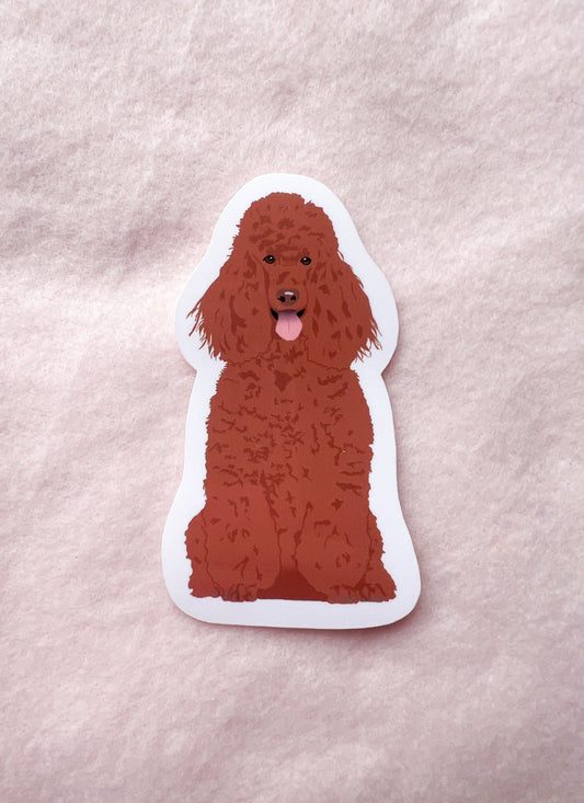 Poodle (red/brown) Sticker