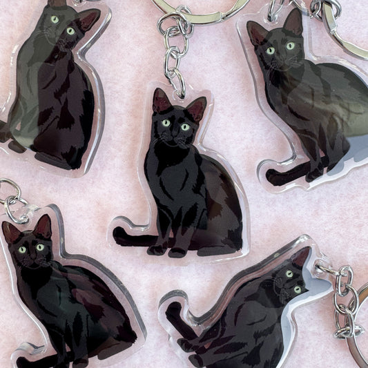 Black Cat, Bombay Keychain