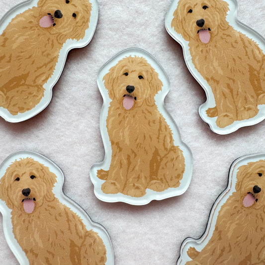 Goldendoodle, Labradoodle (blonde) Magnet