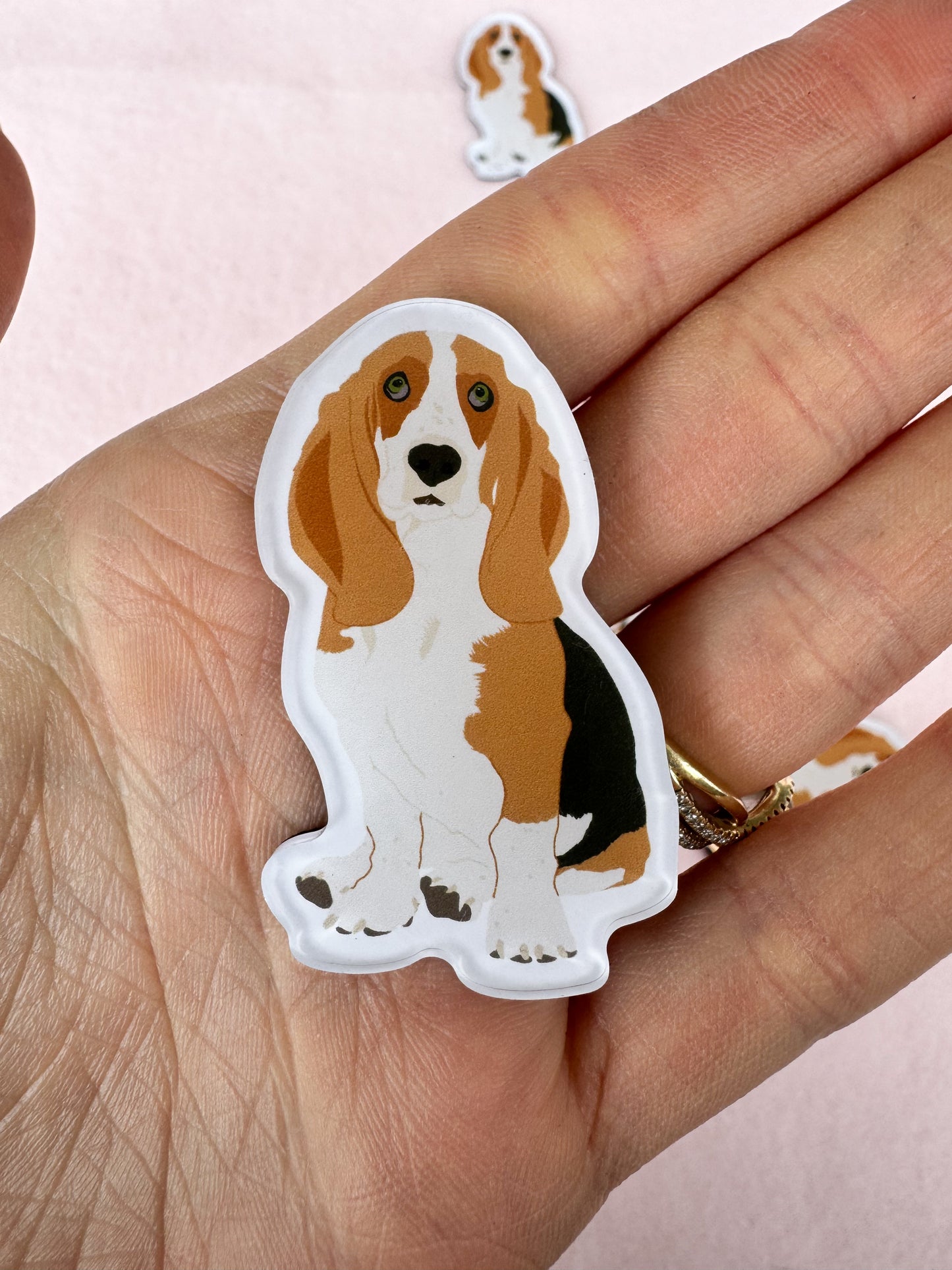 Basset Hound Magnet